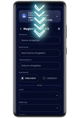 ViperWin Freispiele persönliche Daten Formular
